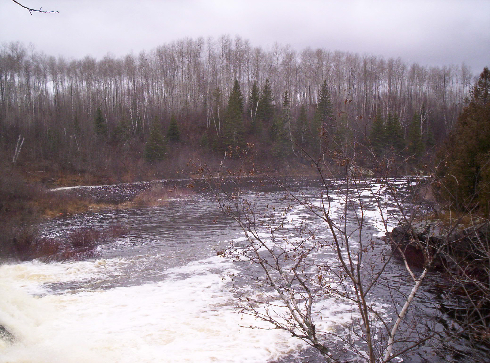 100_0664.jpg