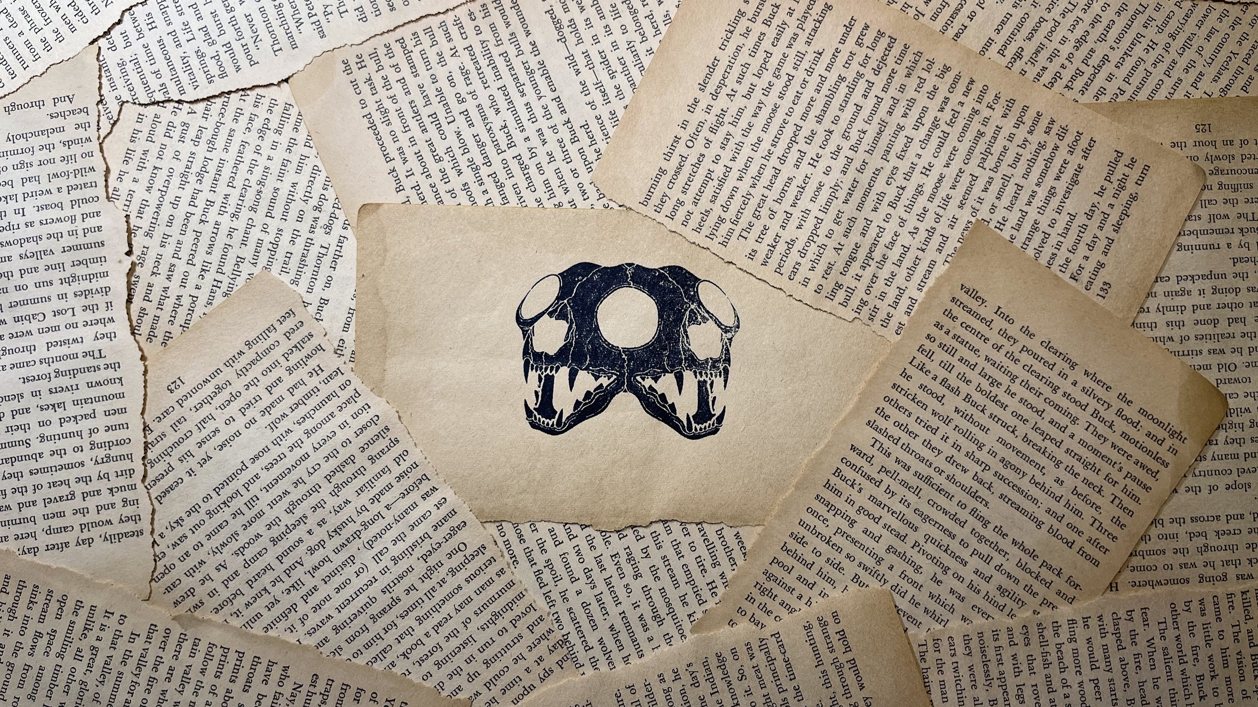 Capie Creative twin skull illustration on torn book pages.jpg