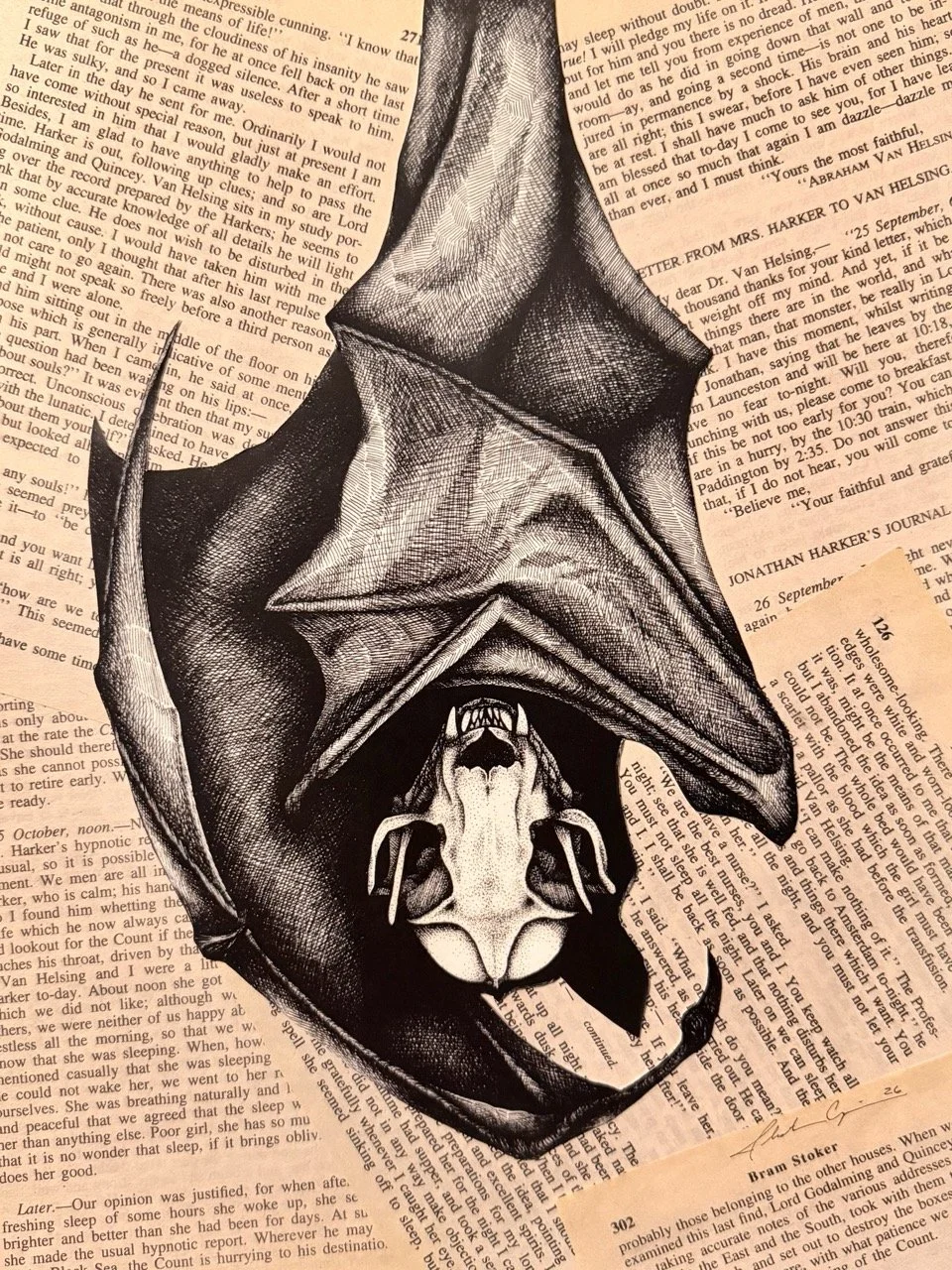 "The Night Is My Day" Dracula Book Page Limited Edition Print (6/6)