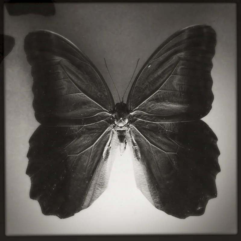 CERTAINTY-9.jpg
