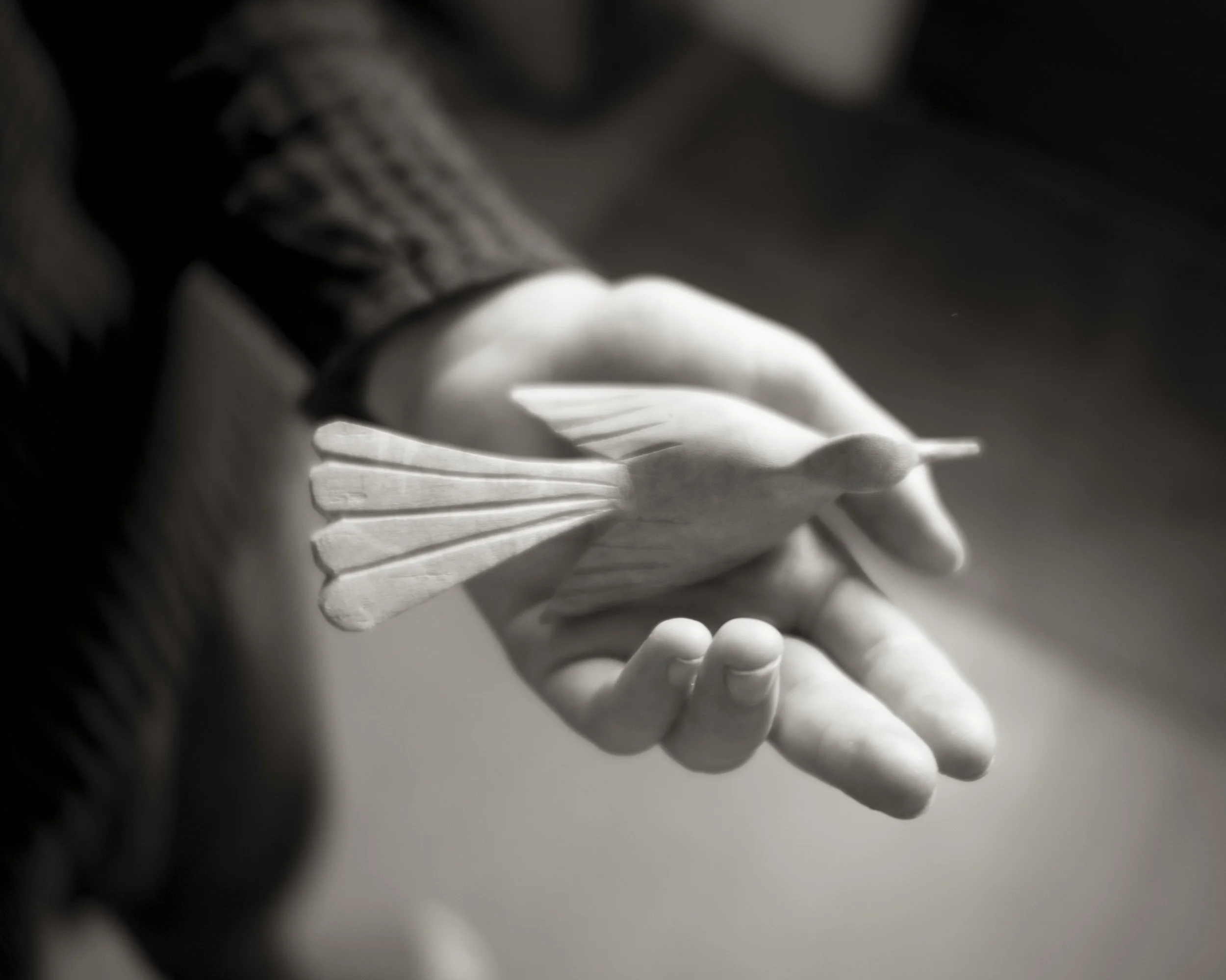 A Bird in the Hand