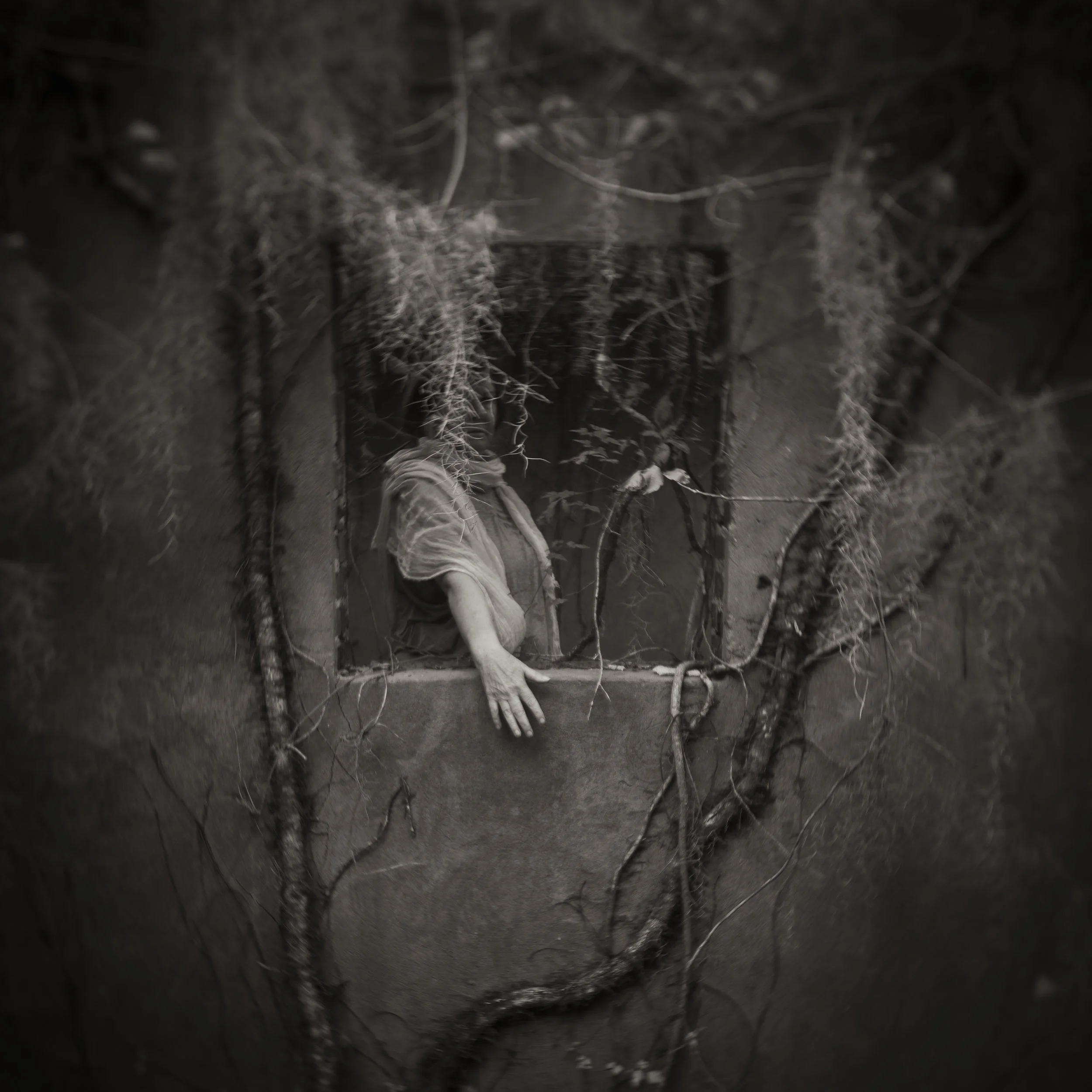 Anne in the Window