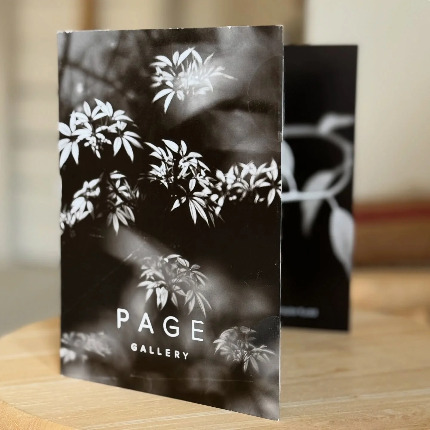Opening August 21st @pagegallery in Camden. Looking forward to showing this new body of botanical images.

Opening 5pm - 7pm Aug 21
@pagegallery 

#maineartist #saltaylorkydd #botanicals
