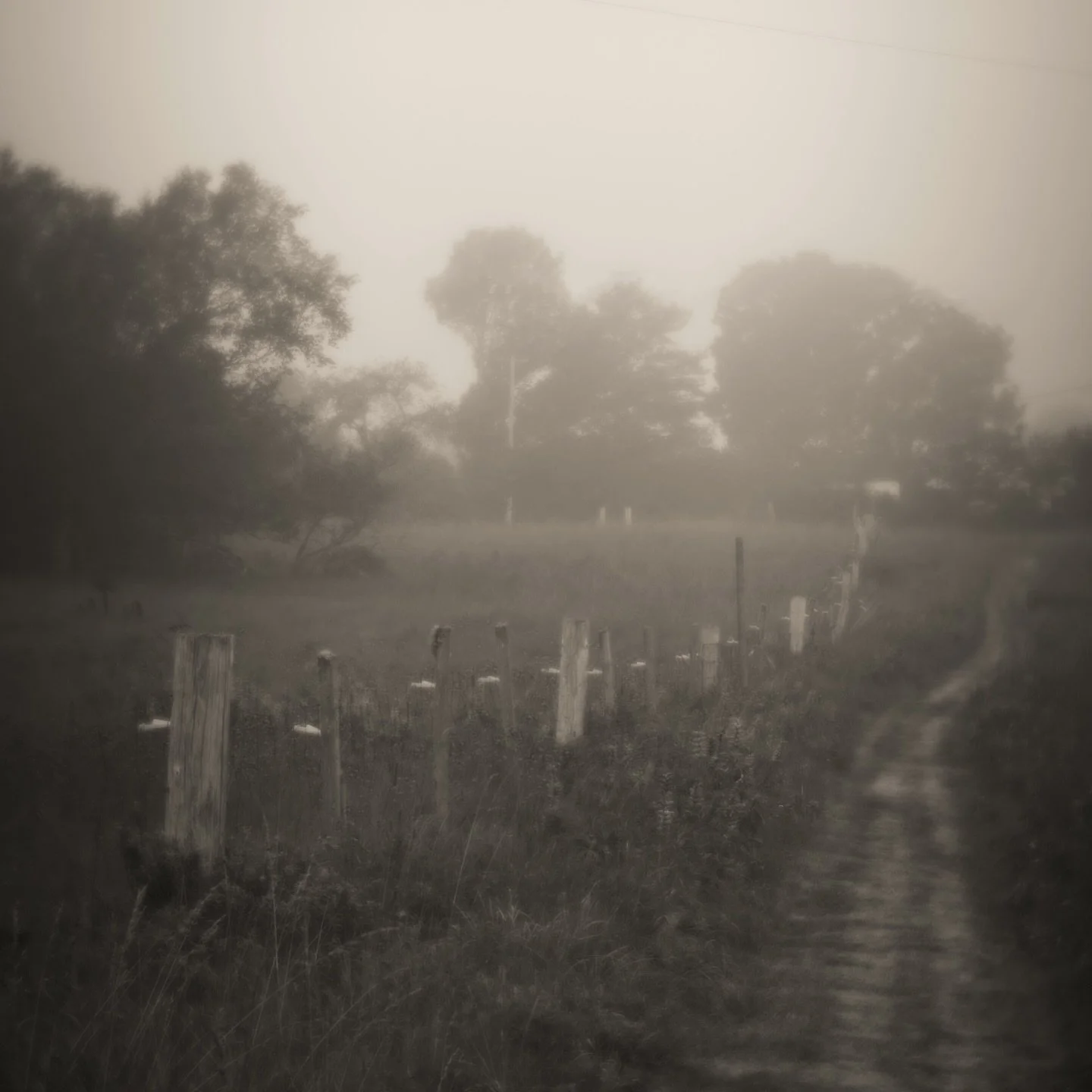 September morning

#maine #deerisle #mainelandscape #lyricalphotograph #saltaylorkydd