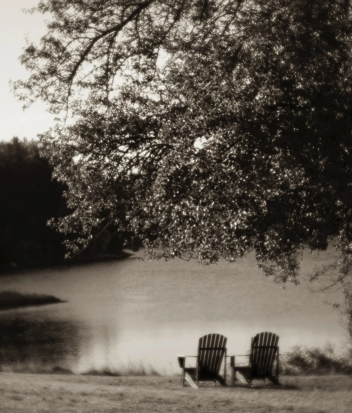Awaiting a
moment,
to sit
in contemplation,
of one hand
held in another
in repose.
#fineartphotography #textandimage #poeticordinary #lyricalphotograph #saltaylorkydd @pilgrims_inn