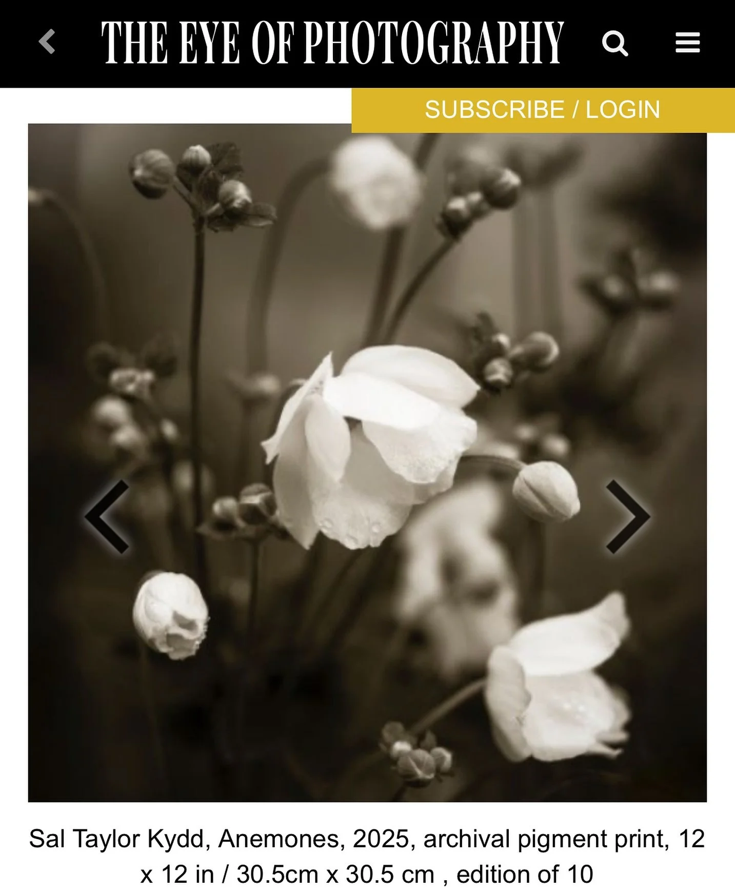 Merci a @loeildelaphotographie for this great coverage of our show opening tonight at 8 Rue Du Chapon in Paris! So thrilling to be and here show with the other fabulous artists.

SHE PERSISTS / ELLE PERSISTE

Opening Reception:  TONIGHT
Saturday, Nov