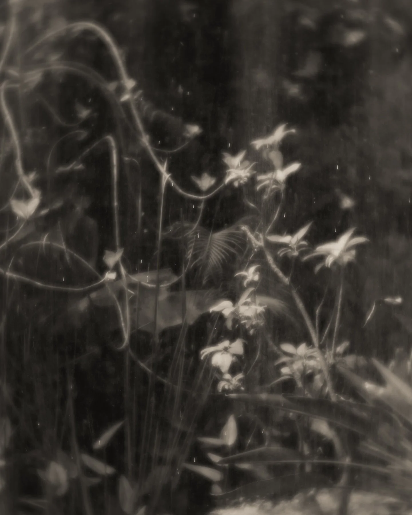 Inhabiting the essence
Of discomfort.
You find your liberty 
In the dark.