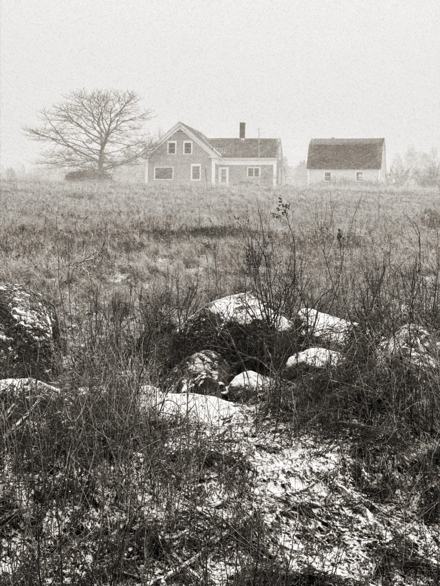 Wintering in 
the morning lowlight.
Tasting the salt
of the world
on my tongue.

#saltaylorkydd #textandimage #poetscorner