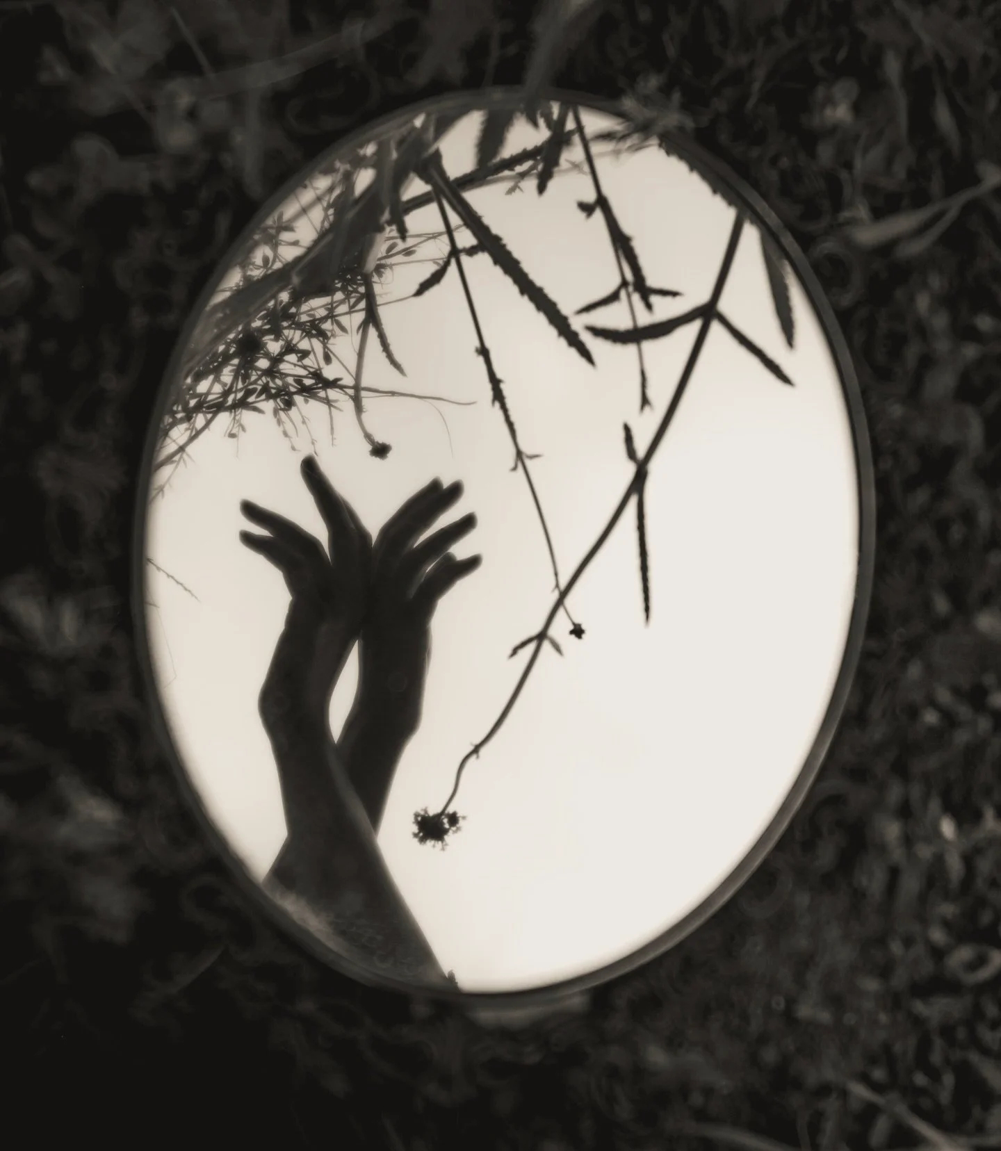 A selection of images from my new series - Flickering in the Midday Silver. Available at @miaphotofair.
8x10 on Awagami Bizan handmade paper.

This work will be featured in my upcoming book with @datzpress &ldquo;In the Midday Silver&rdquo; coming th