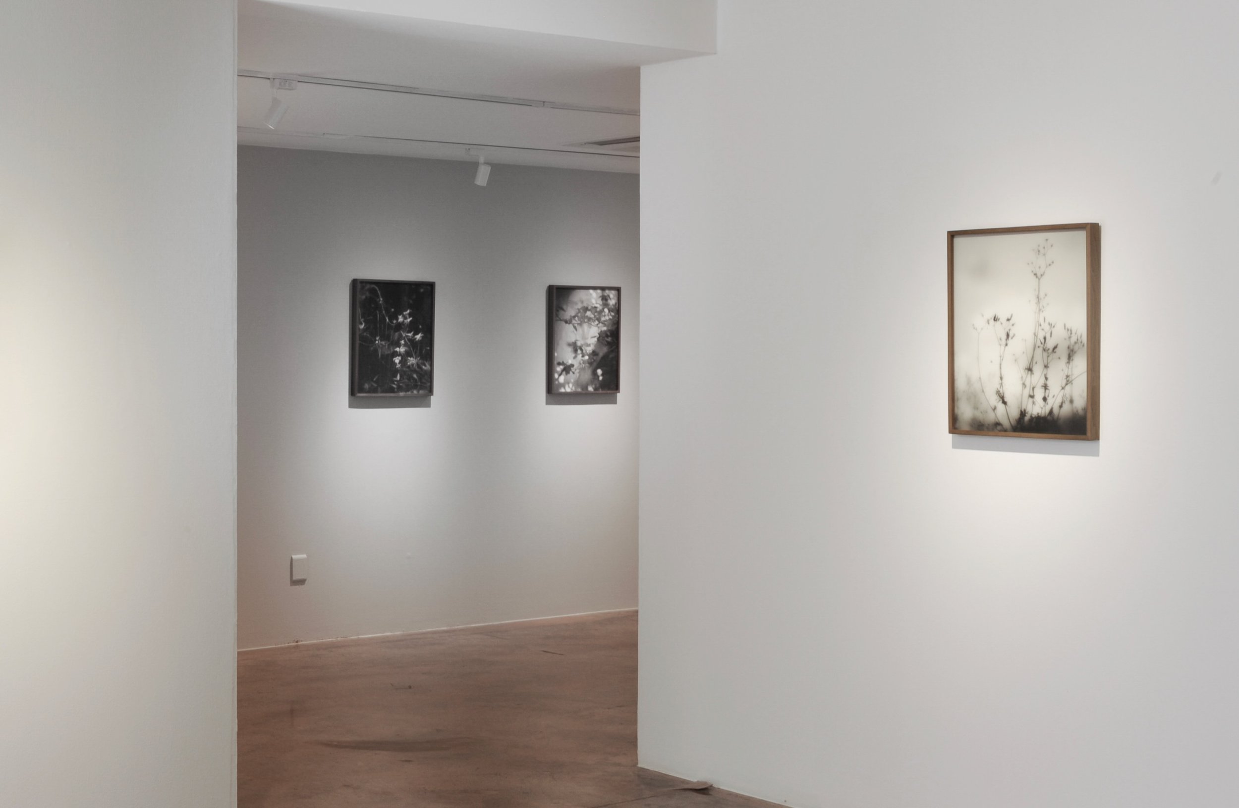 아름다움의 애가 (23).jpeg