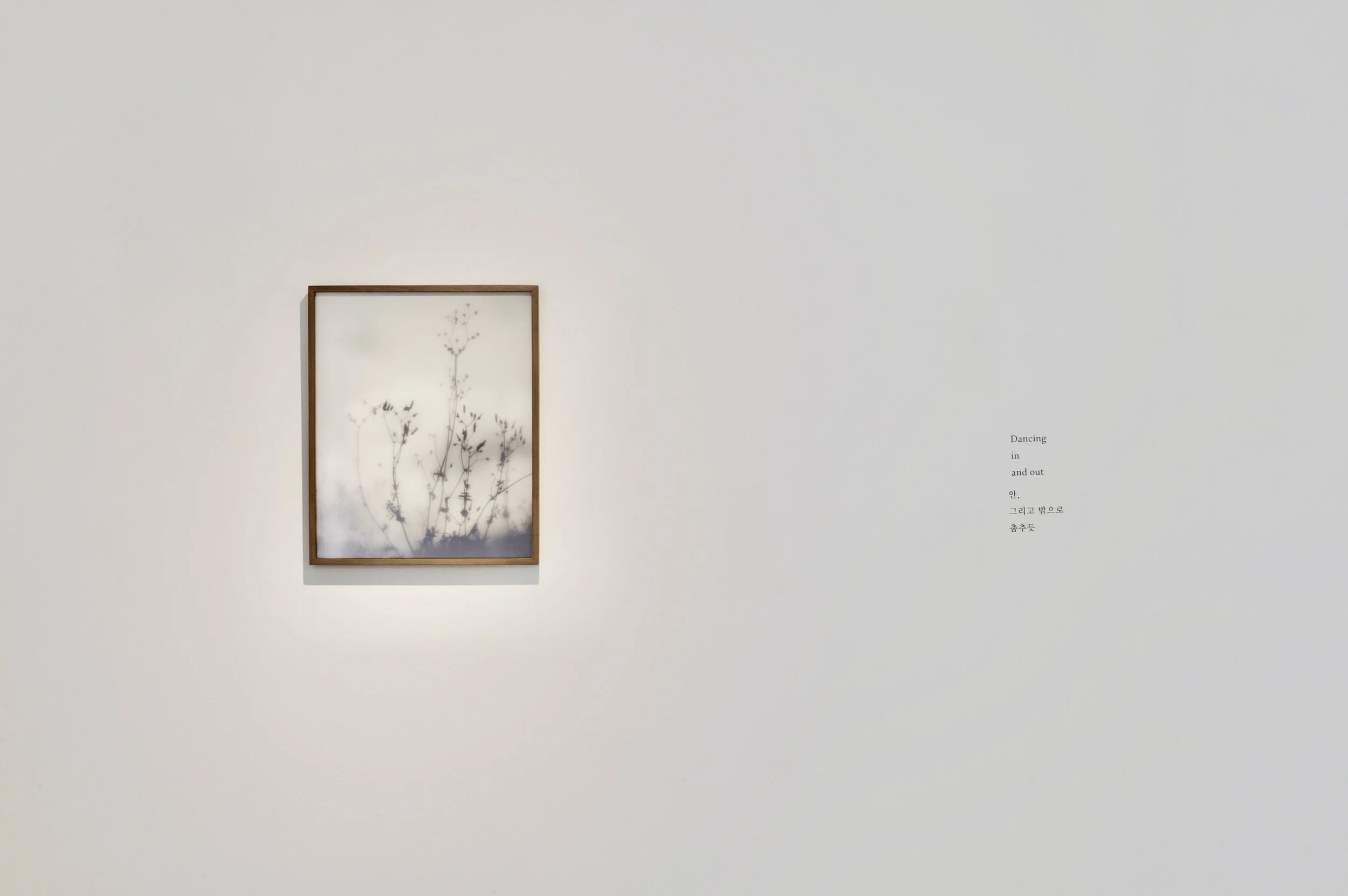 아름다움의 애가 (24).jpeg