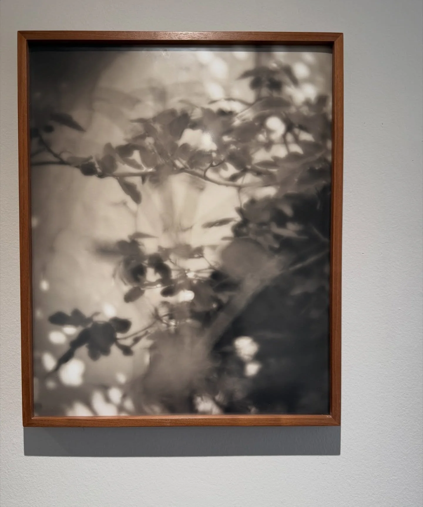 A fleeting murmuration. 

#inthemiddaysilver #saltaylorkydd @datzmuseum