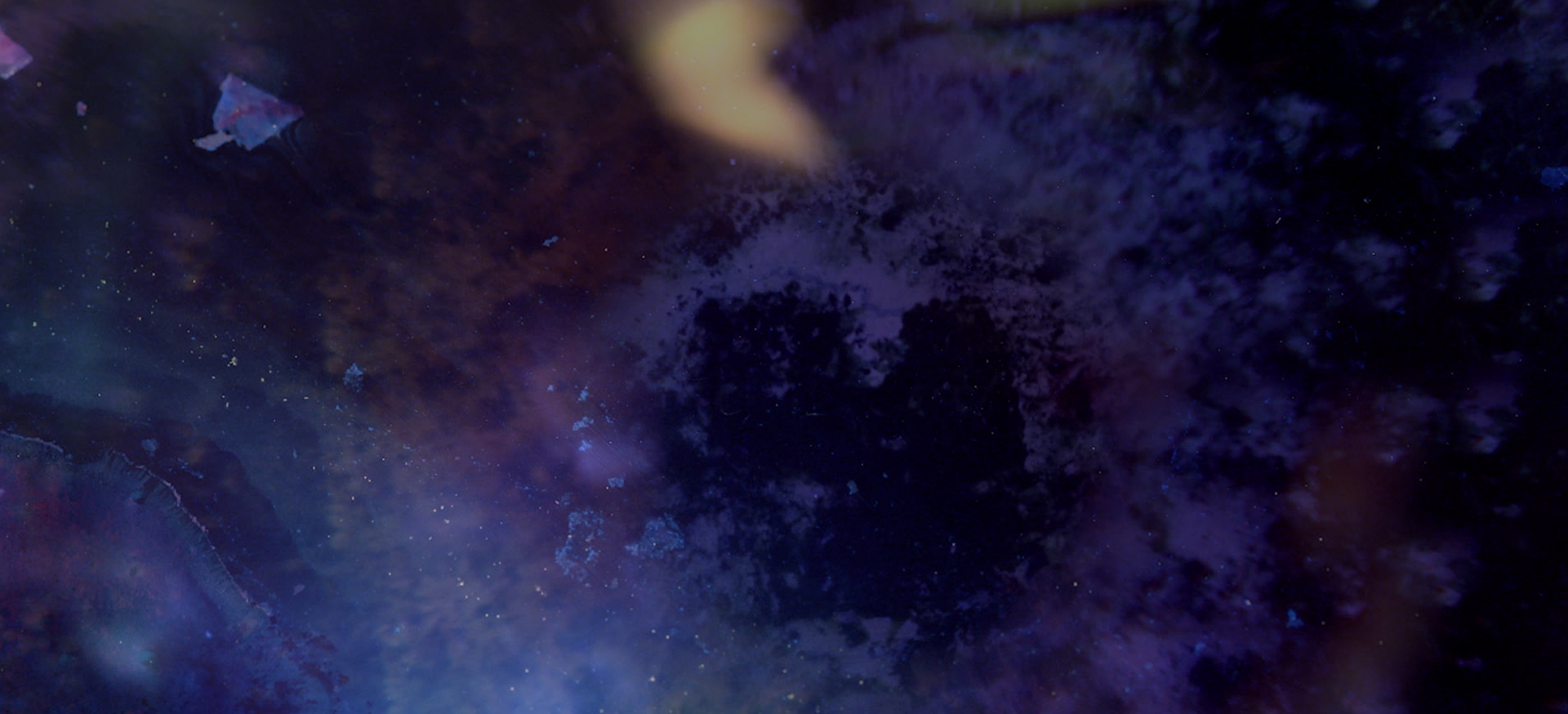 Banner_Macro1.jpg