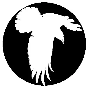 Jason Traweek - Spirit Lab, Hakomi