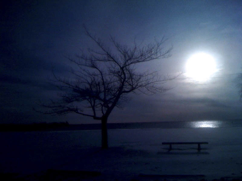 WS. Mary for Todd and Ed-1.JPG