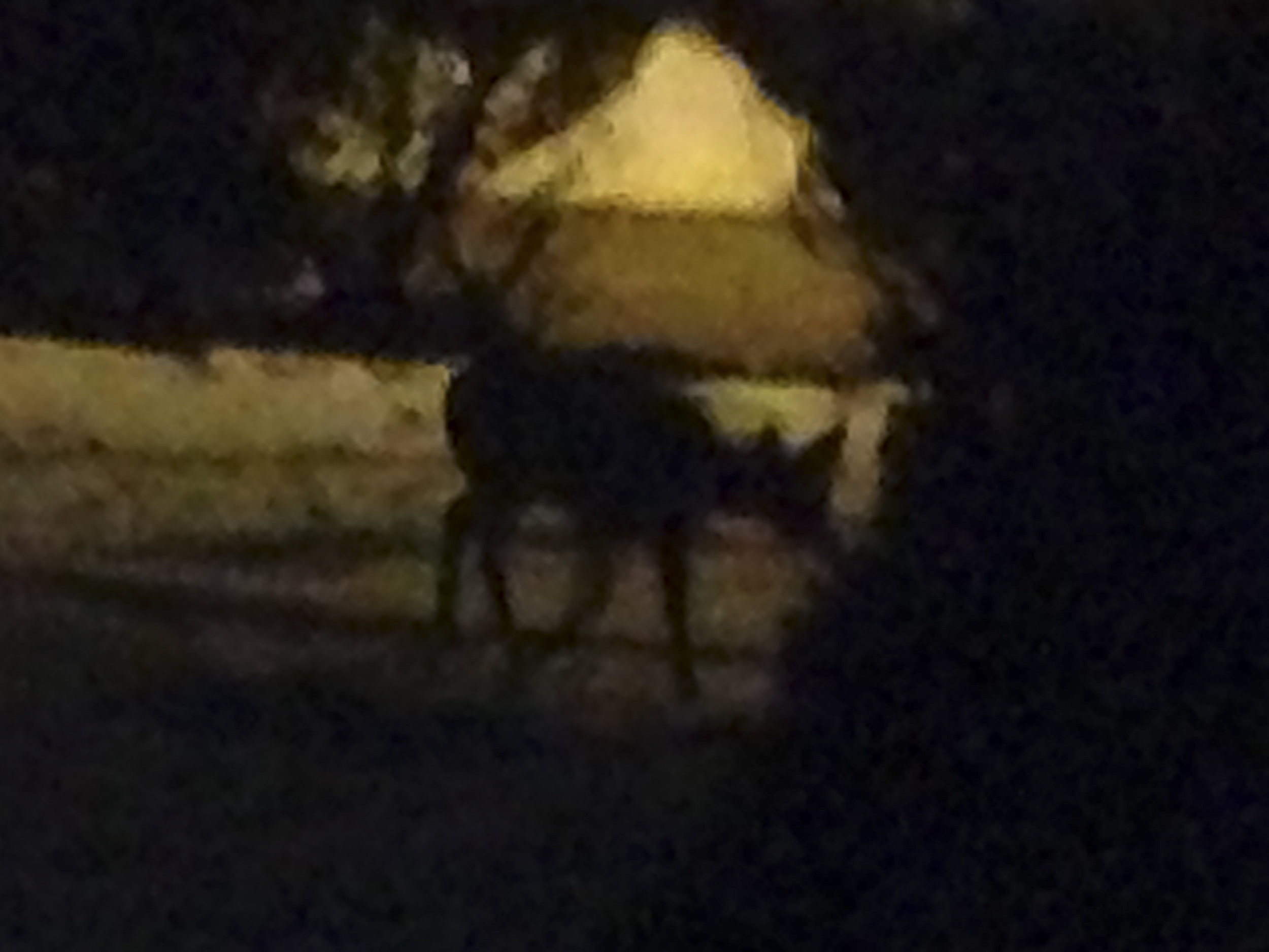 WS. Mary for Todd and Ed-5.JPG