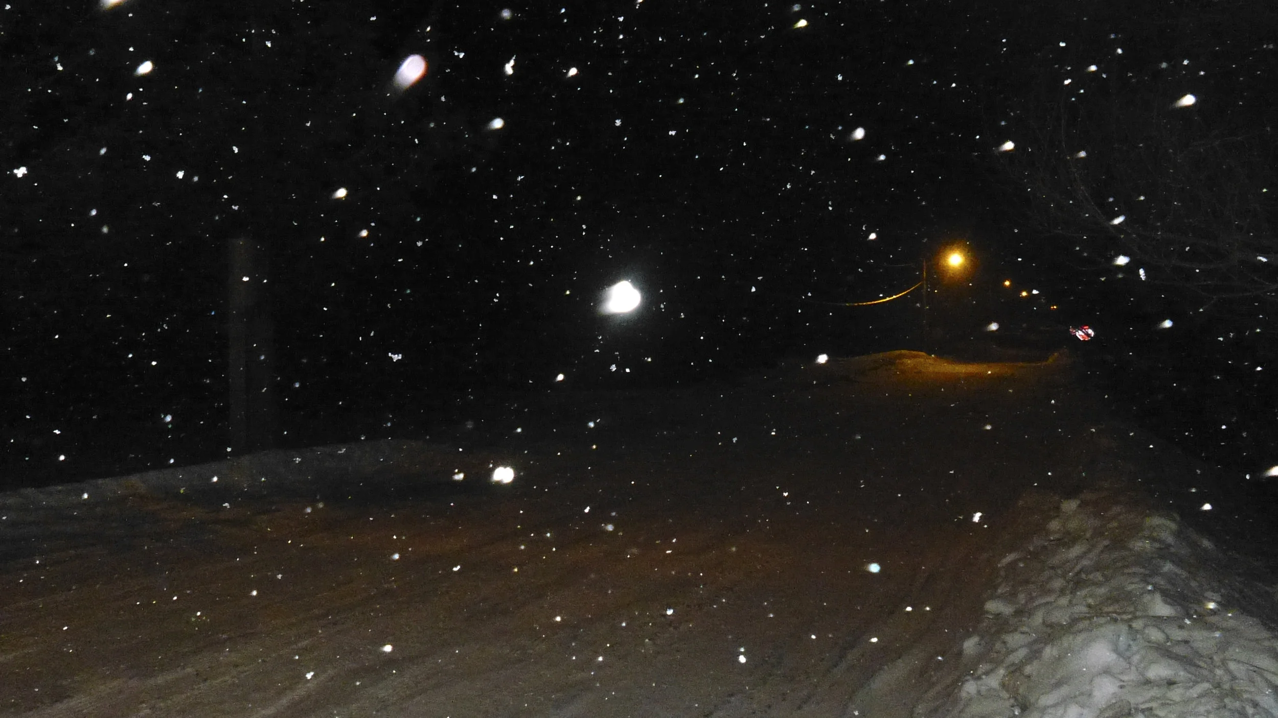 WS. Mary for Todd and Ed-10.JPG