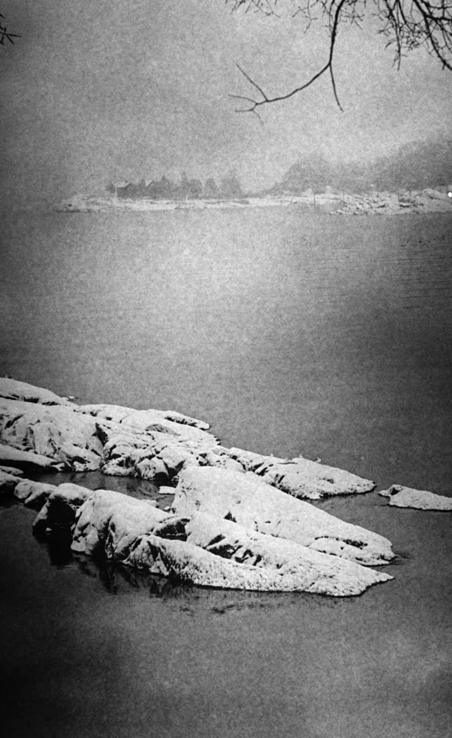 First Roll_20180129_0004.JPG