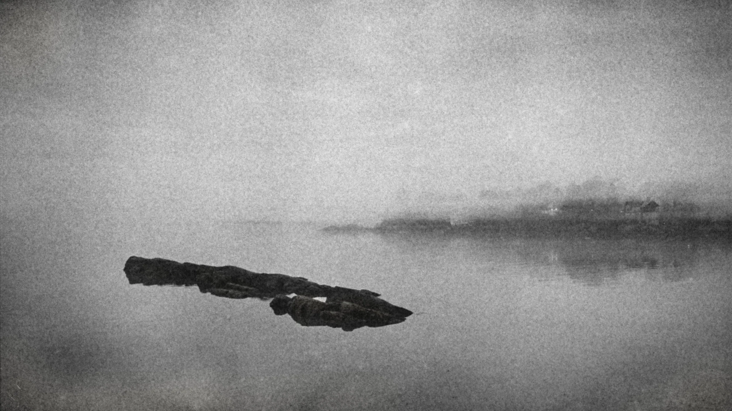 Foggy Cove_20180129_0010.JPG