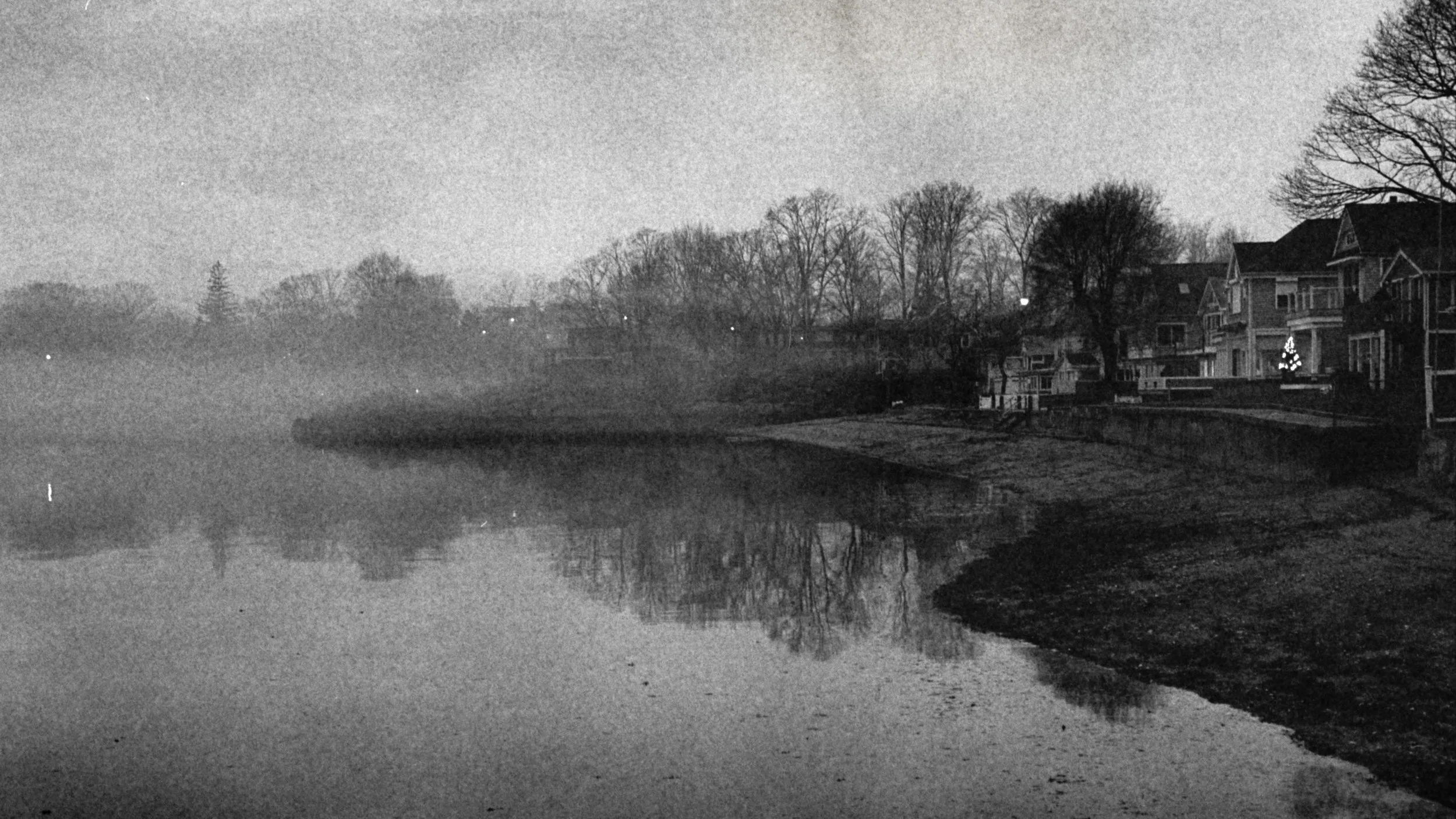 Foggy Cove_20180129_0022.JPG