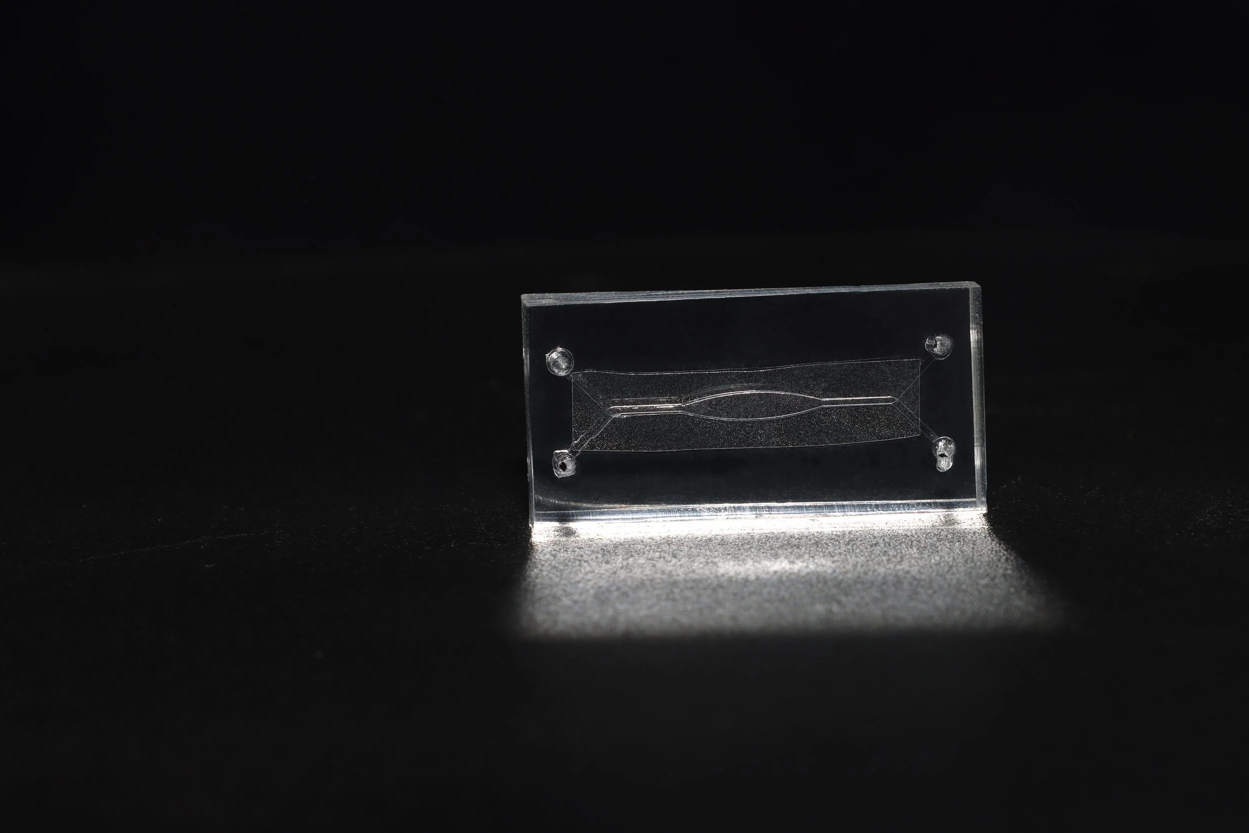 Standard Dual-Channel Barrier-on-a-Chip (2).jpg
