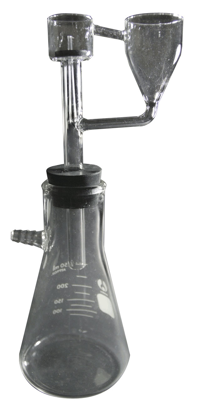 p65s.jpg