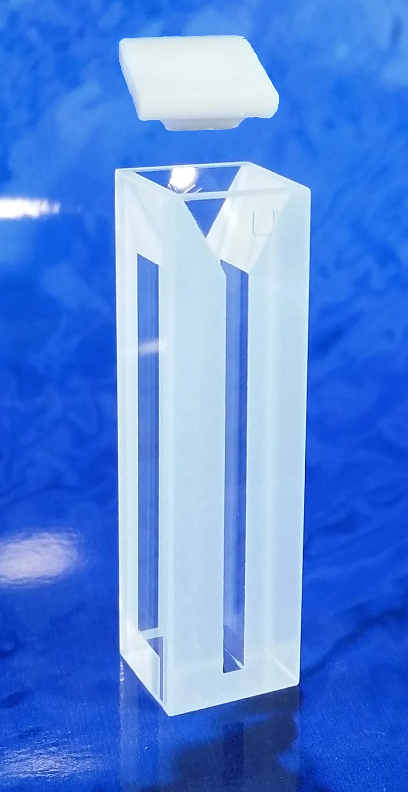 18FLUV10.jpg