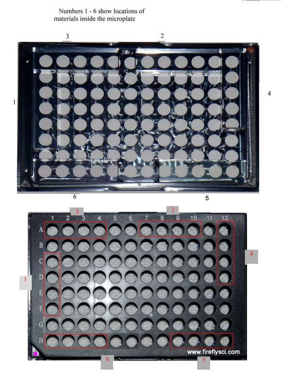 flourescence calibration 96well plate 