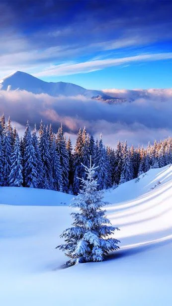 4b23665f9d0fcccb5567d8b5dc09a20b--winter-nature-winter-snow.jpg