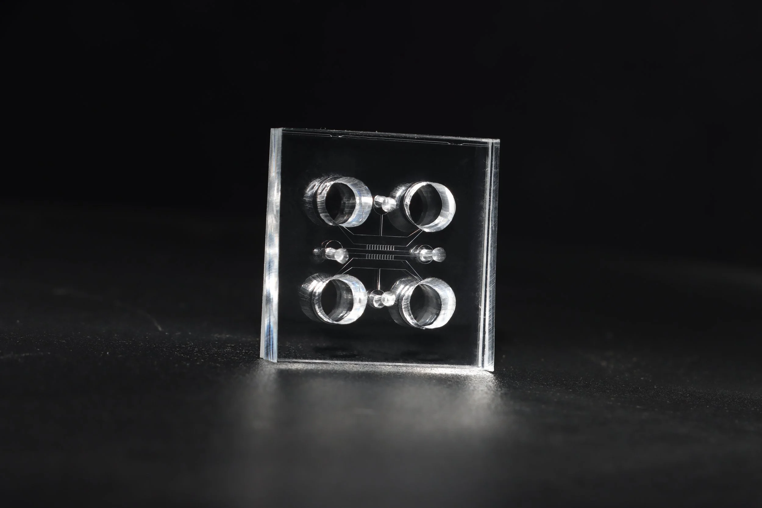 Immune Co-Culture Liver-on-a-Chip (3).JPG