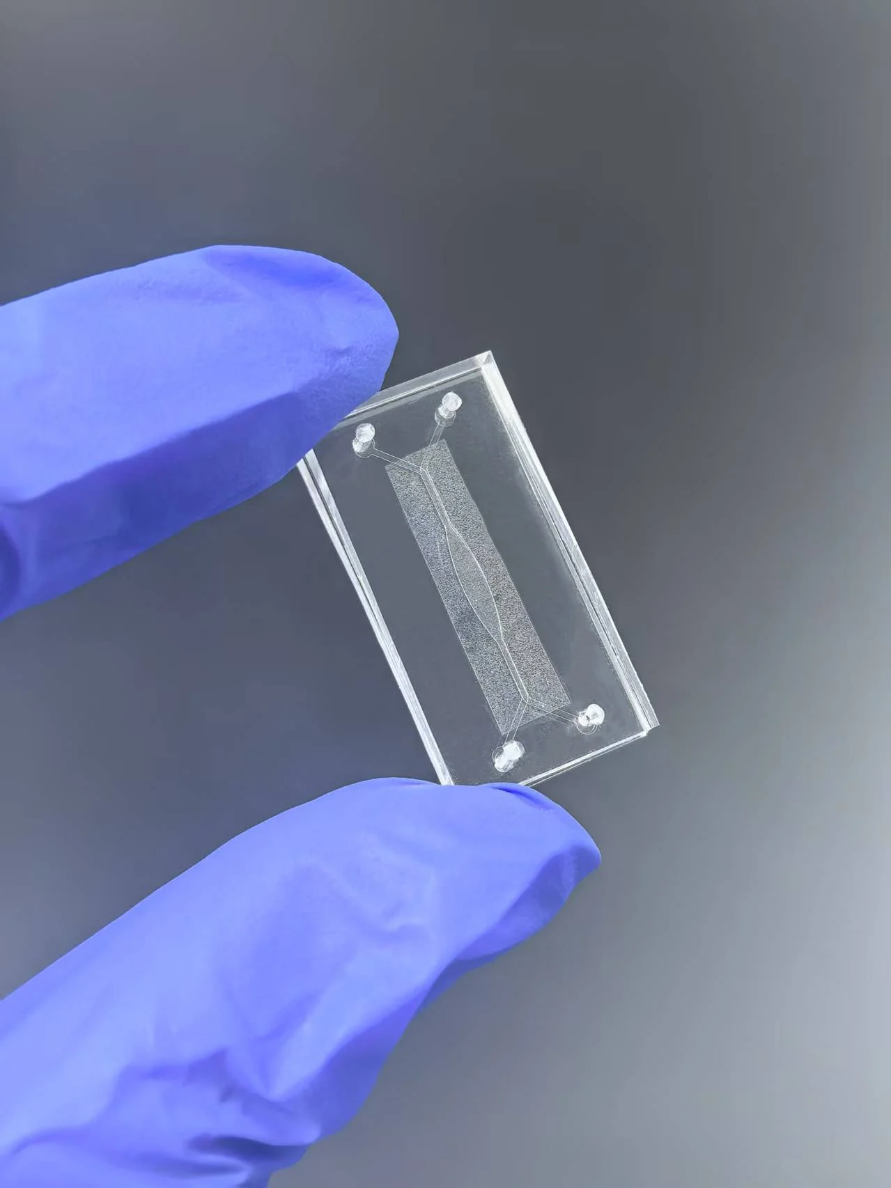 Standard Dual-Channel Barrier-on-a-Chip (4).jpg