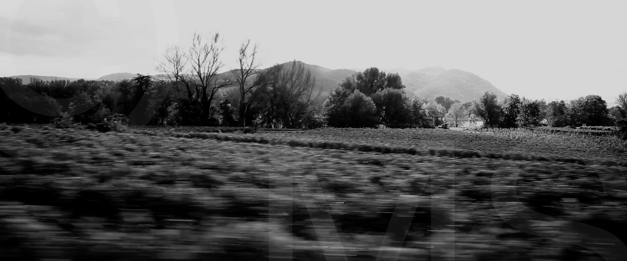Raintrain 02