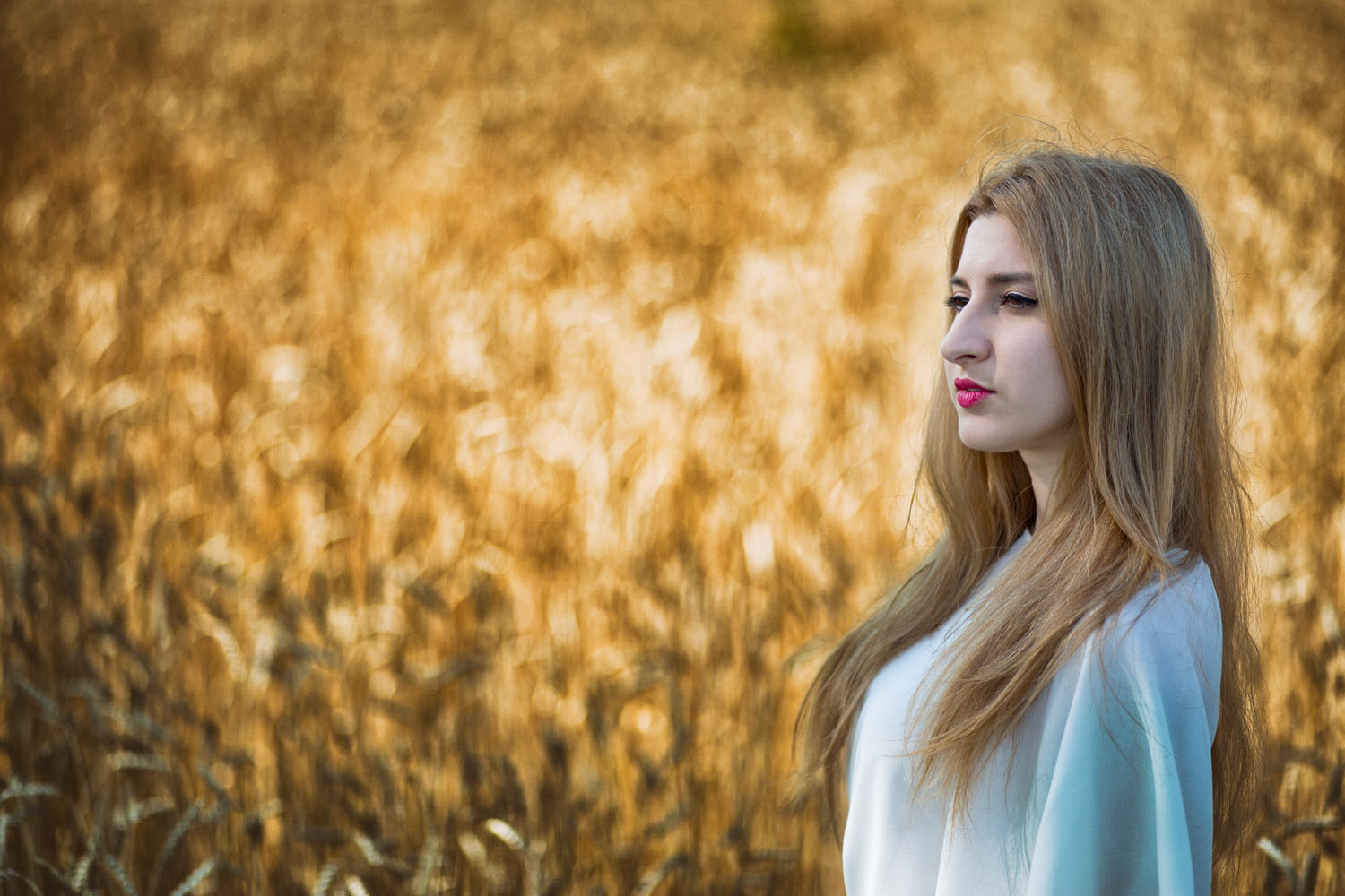 Steph in fields_II_IMG_2885.jpg