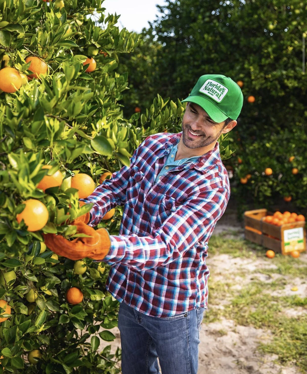 Florida’s Natural.jpg