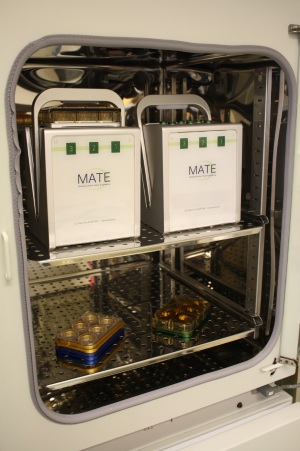 Fig 2: Two MATE boxes on the upper shelve and multiple stack-able trays on the lower shelve of a standard size incubator.