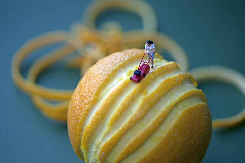 A discarded test frame without lighting or color correction, and prior to digital cleanup of the various flaws in the fruit.