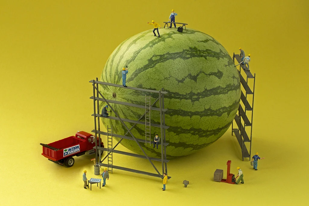 COPYRIGHTED PHOTO DO NOT REPOST melon.jpg