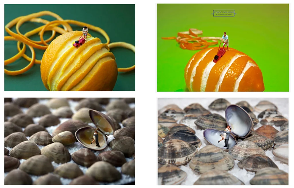 copycat 1.jpg