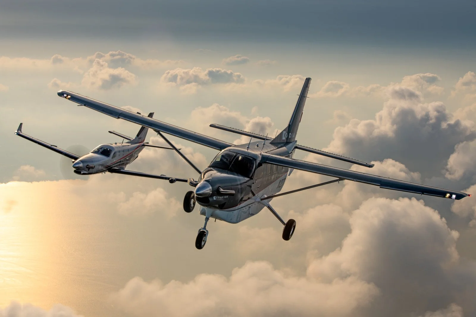 k19awij8fl80w (7).jpeg