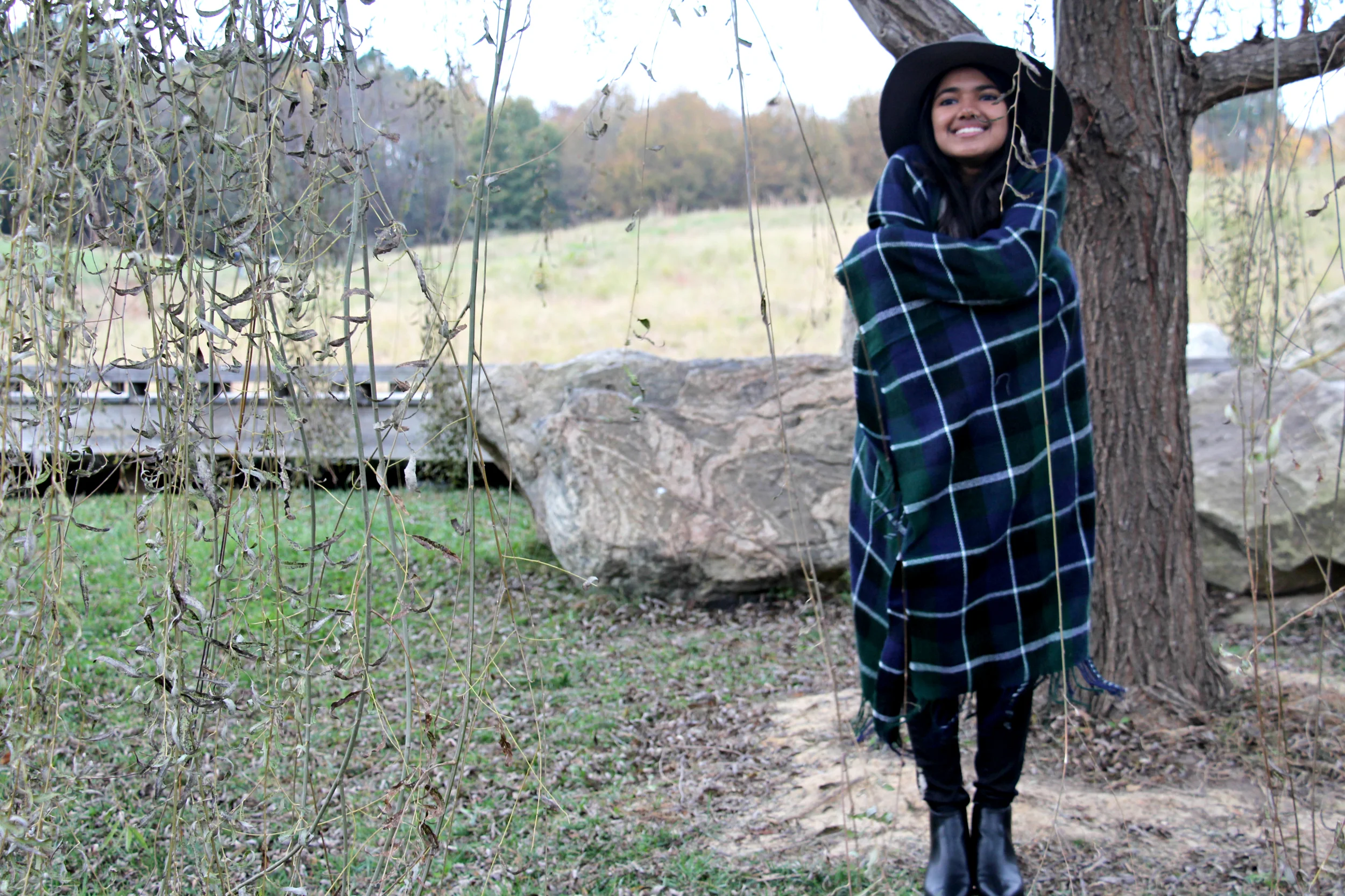 plaidcapeartpark.jpg