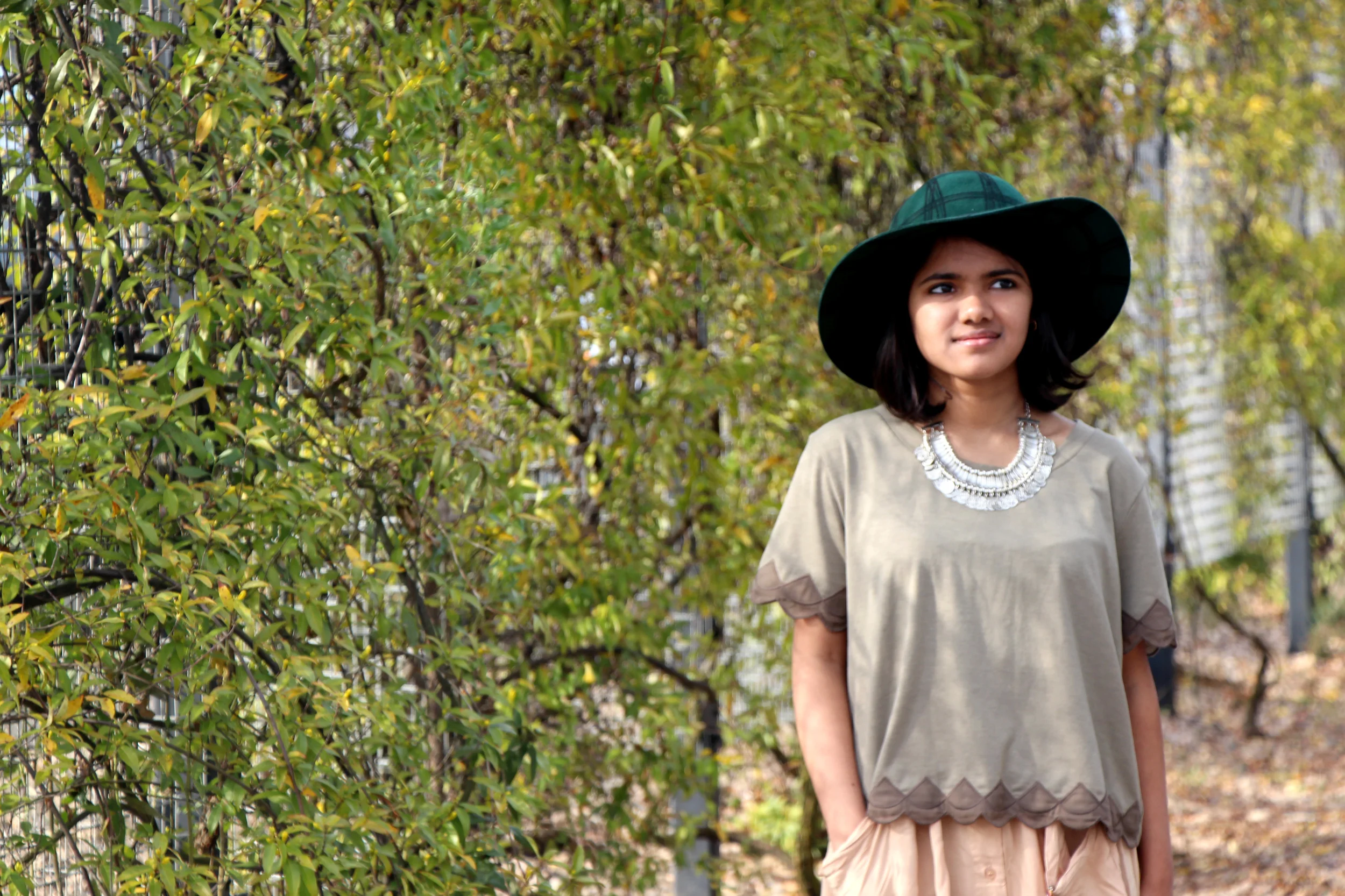 olive-petals-top.jpg