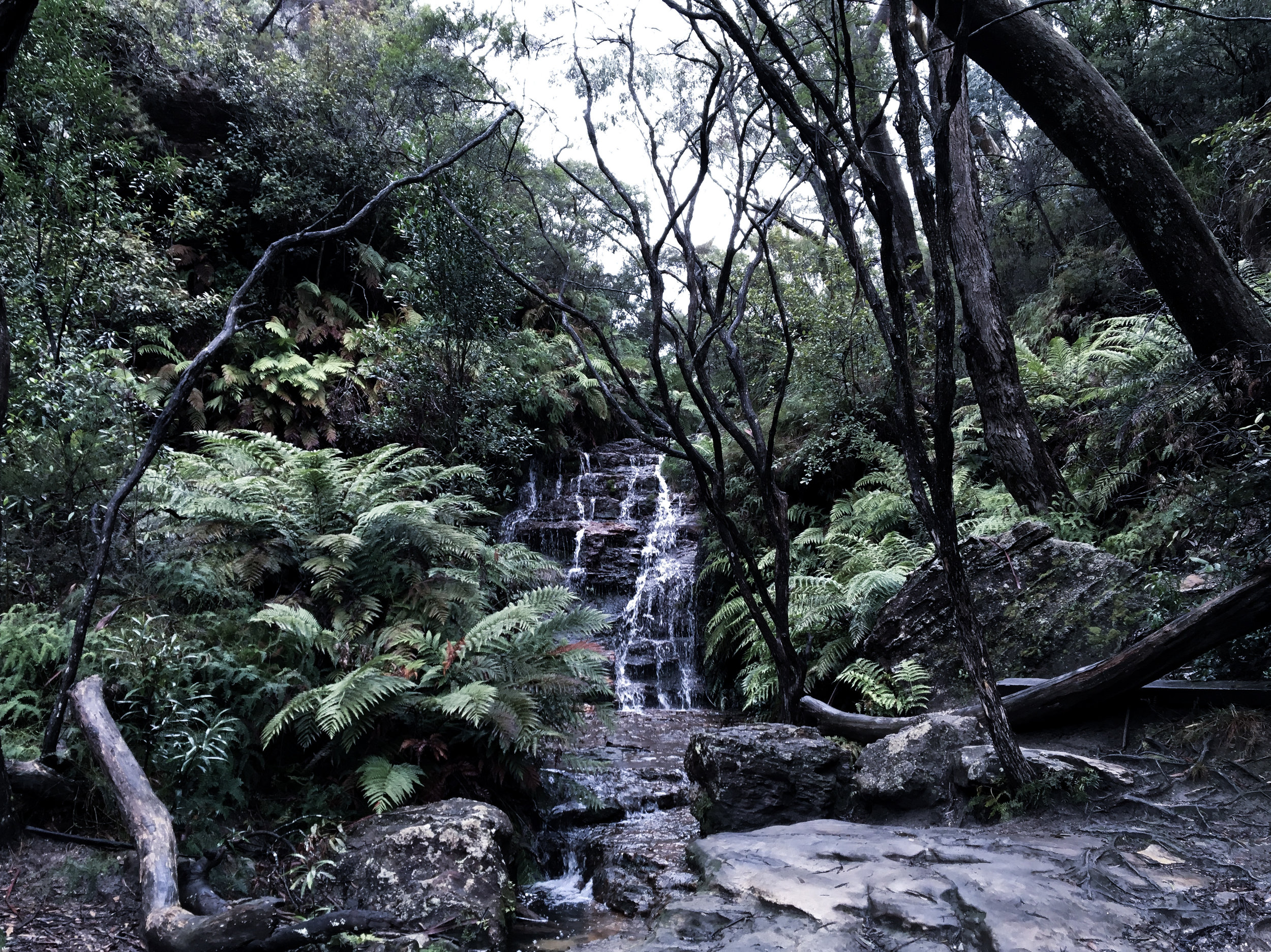 The Blue Mountains Waterfall