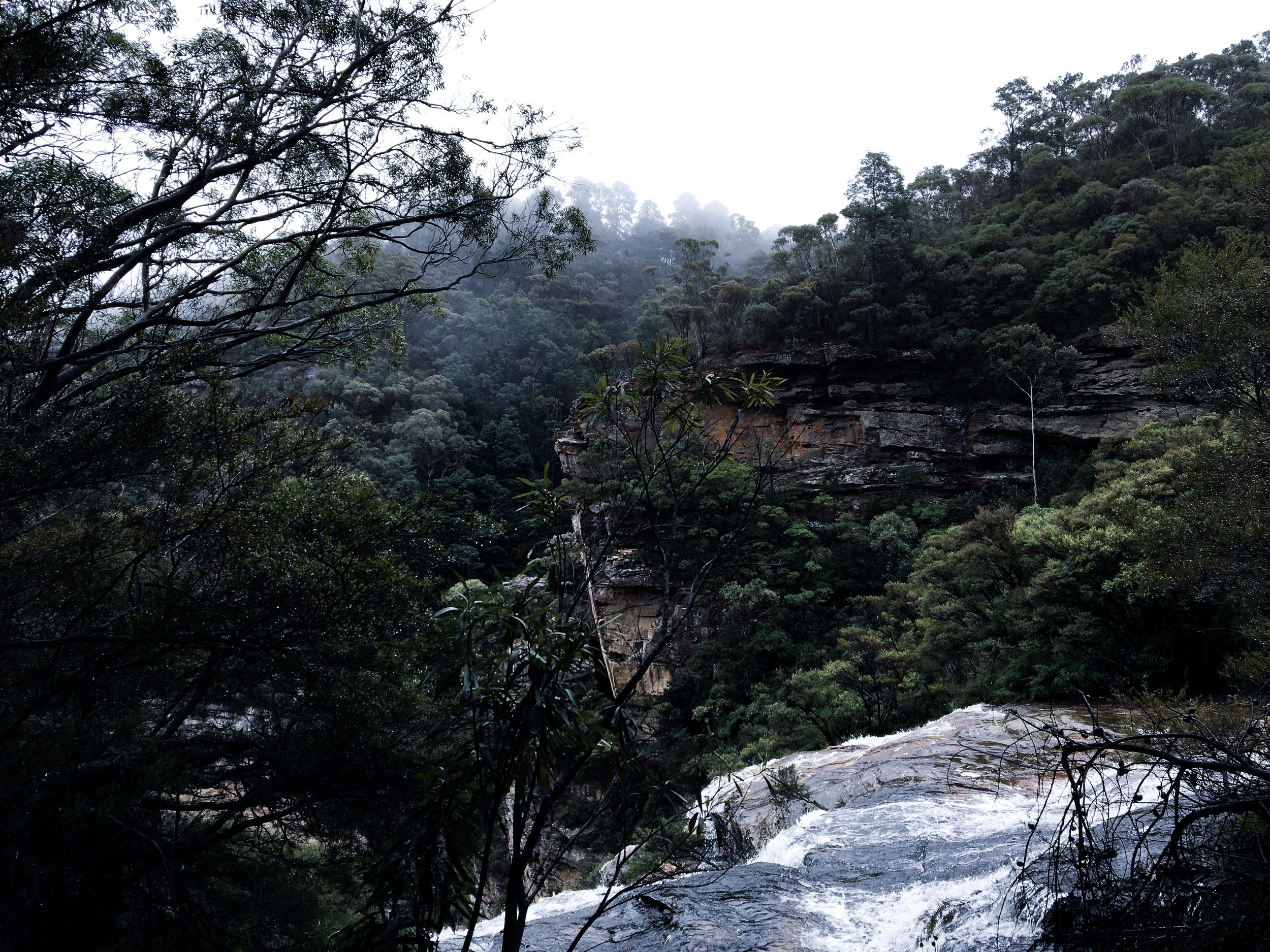 The Blue Mountains