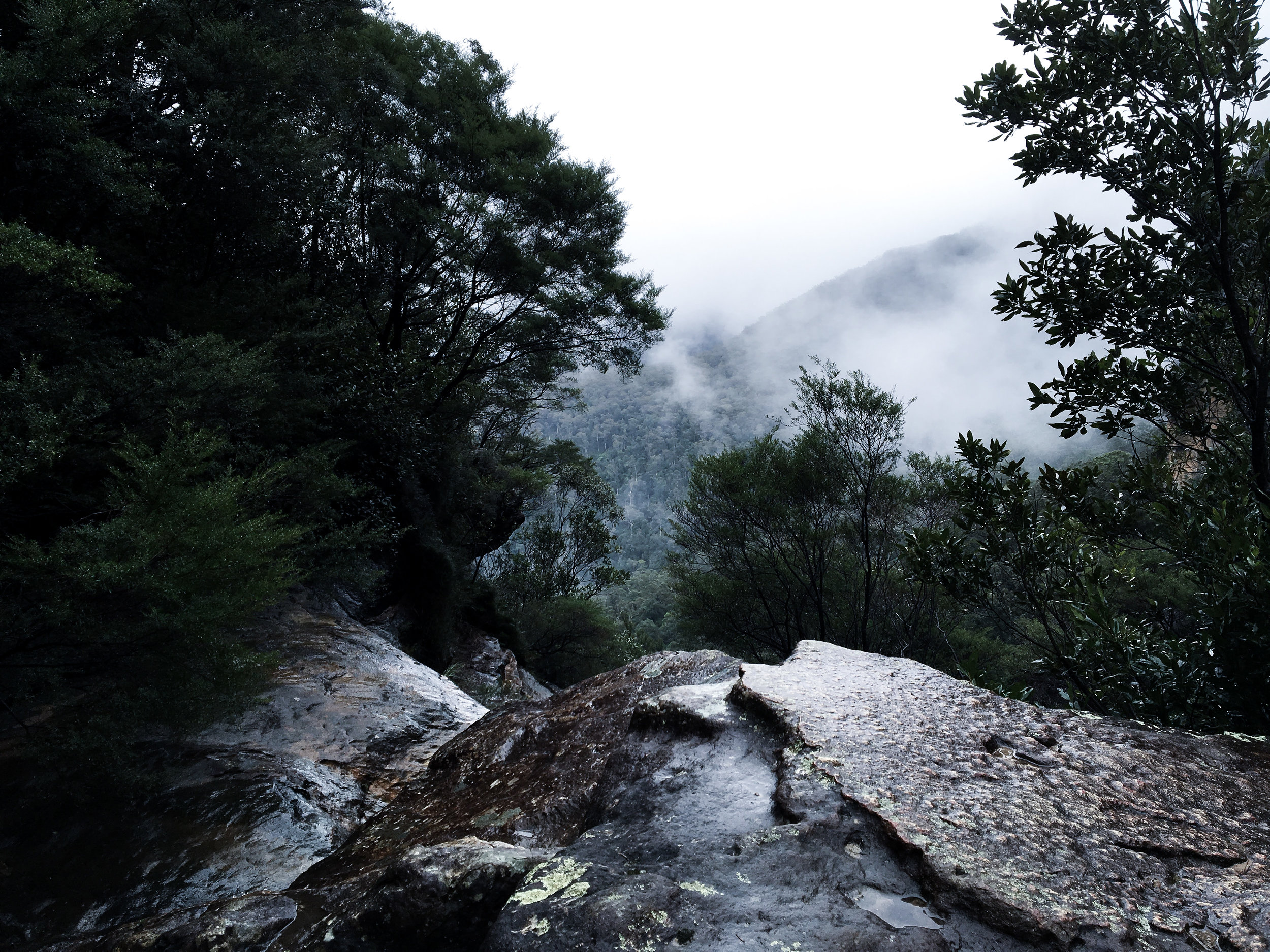 The Blue Mountains