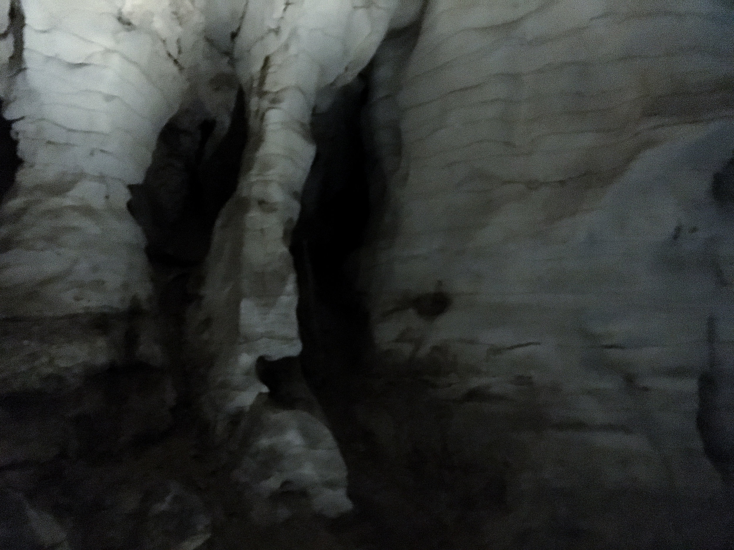 Waitomo Caves 1.jpg