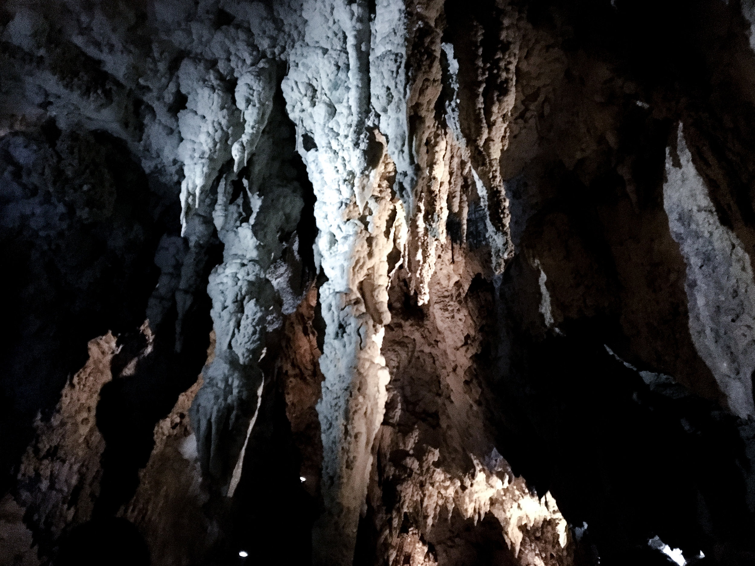 Waitomo Caves 2.jpg