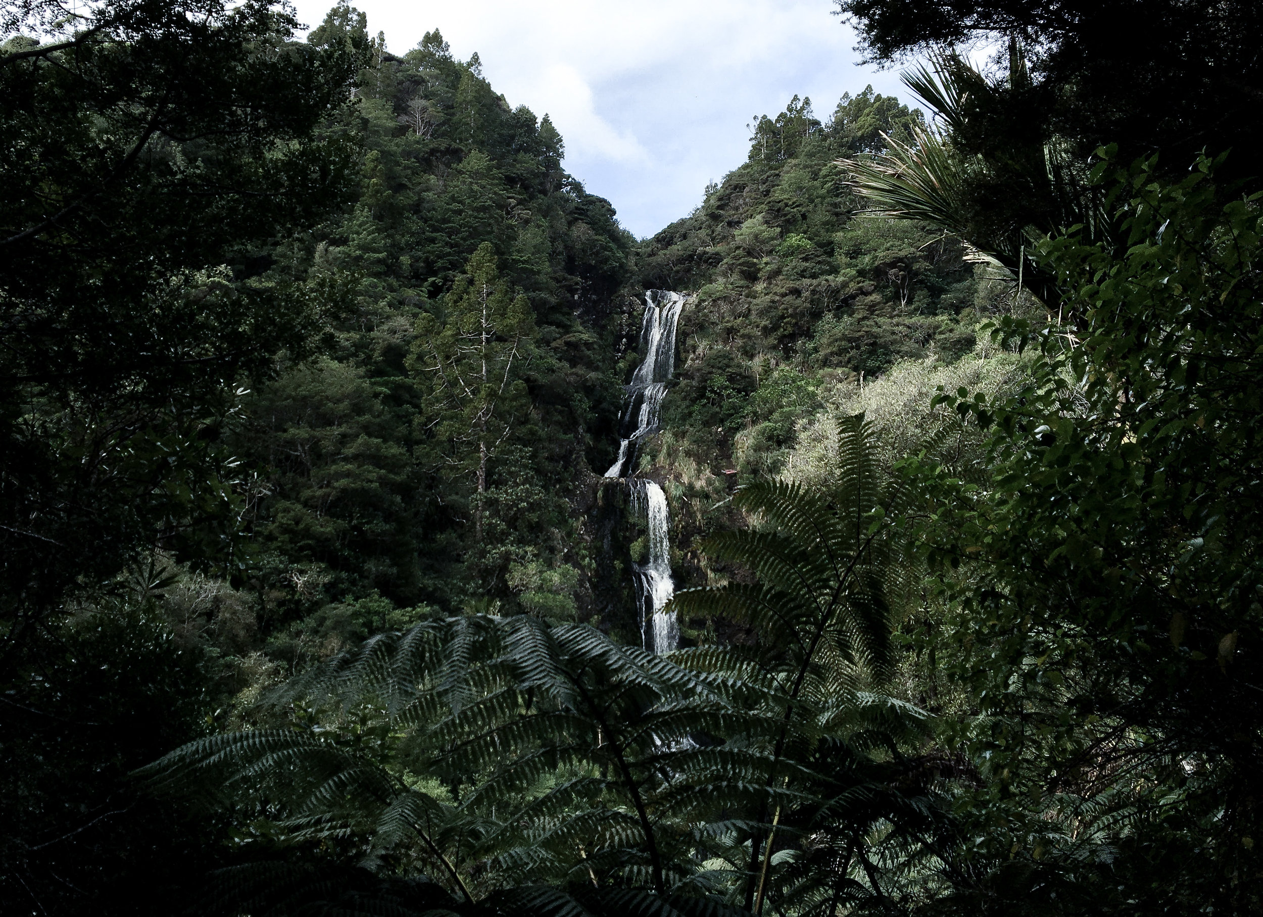 Waitakere 5.jpg