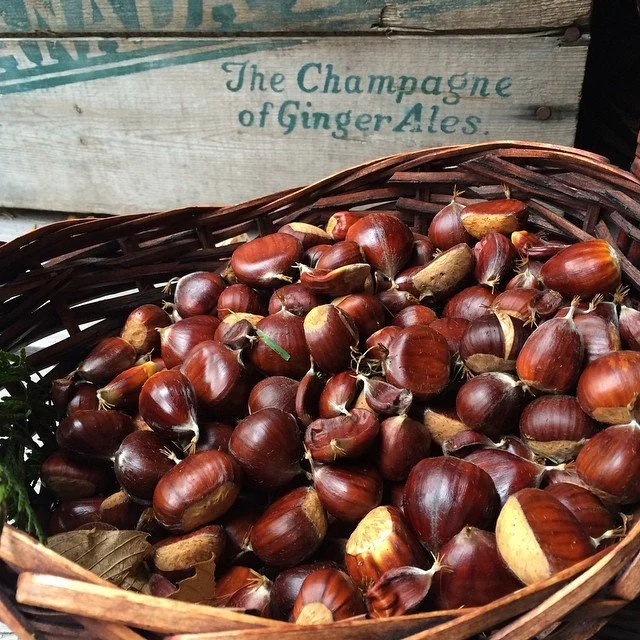 Chestnuts, Neruda & A Recipe For Crème de Marrons