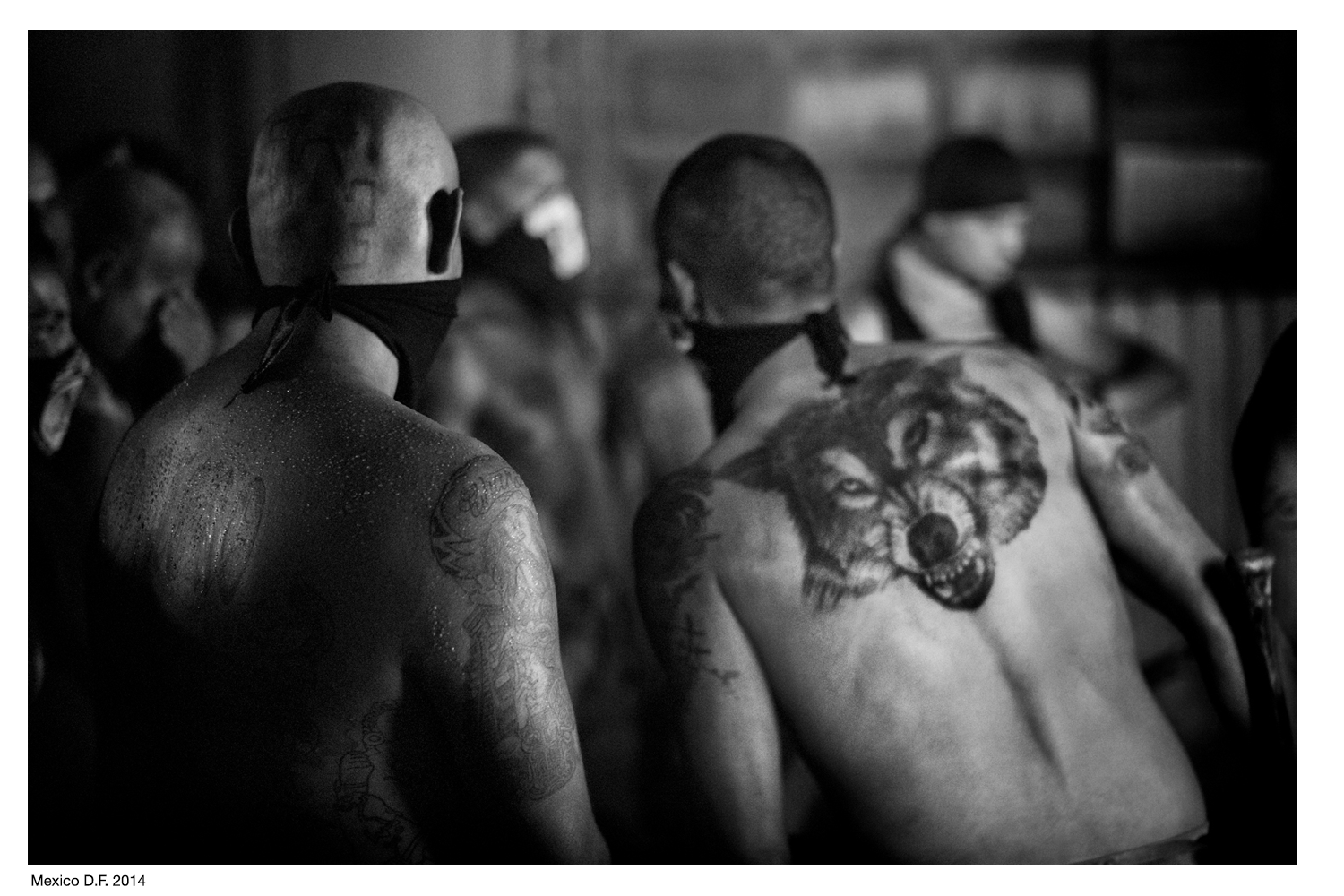 mexico gang.png