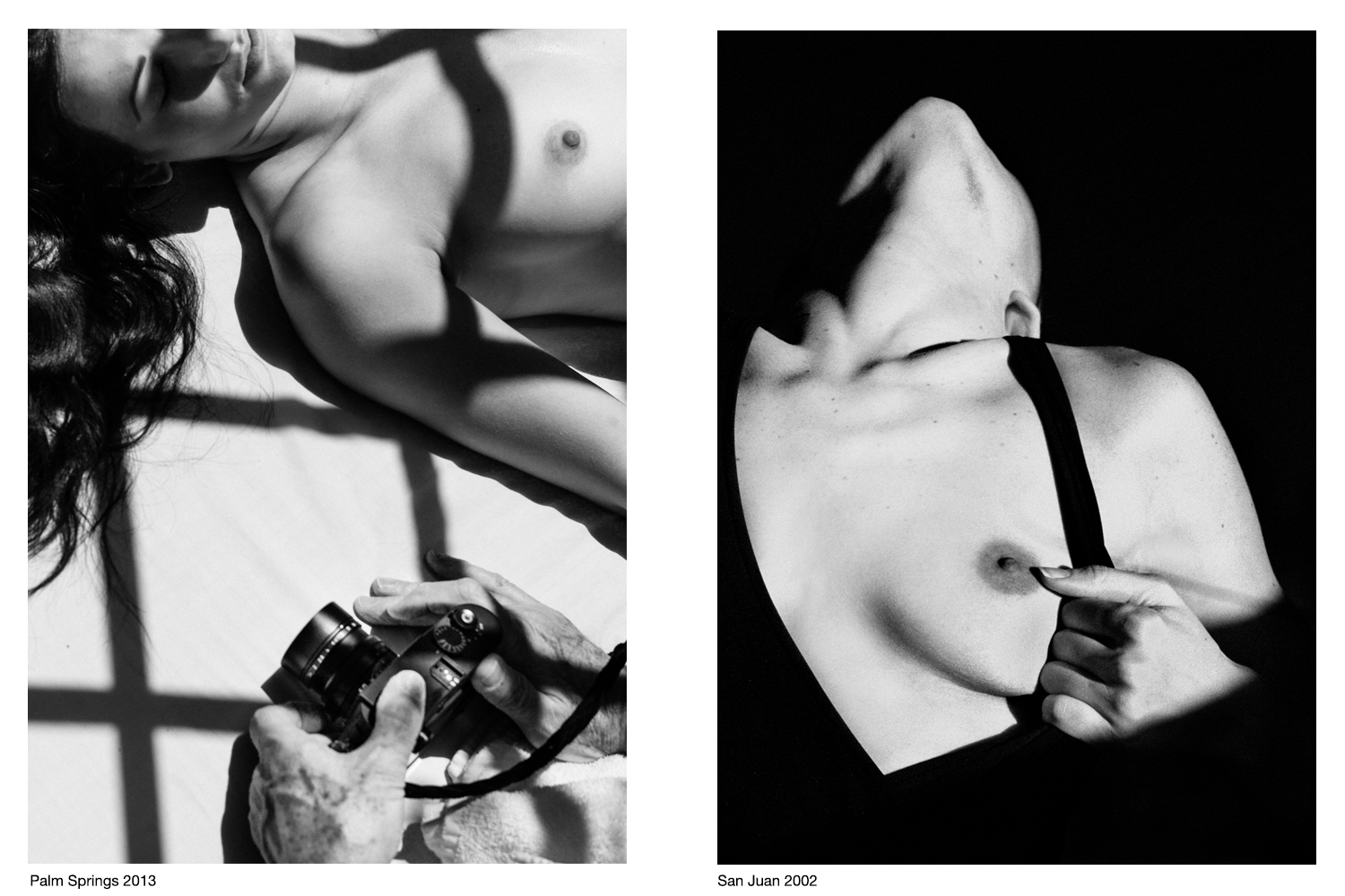 gibson & model 1.png